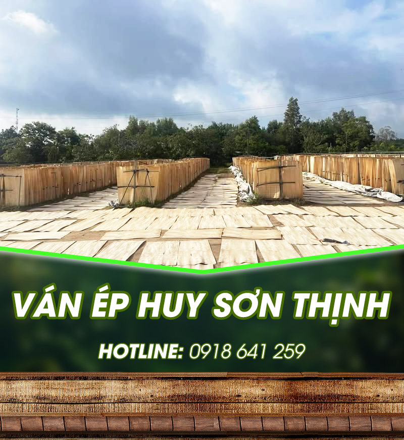 Công ty THHH Huy Sơn Thịnh
